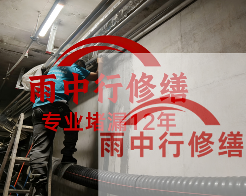 黄石电缆线空洞堵漏加固案例