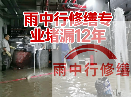 黄石中国五矿某大型污水处理厂堵漏案例